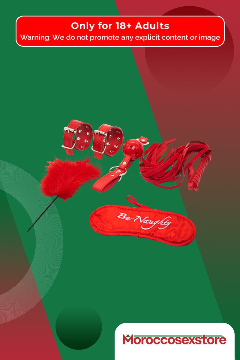 BDSM SEX KIT Bracelet+Whip+Goggles+Feather+Mouth Ball Gag BDSM-001