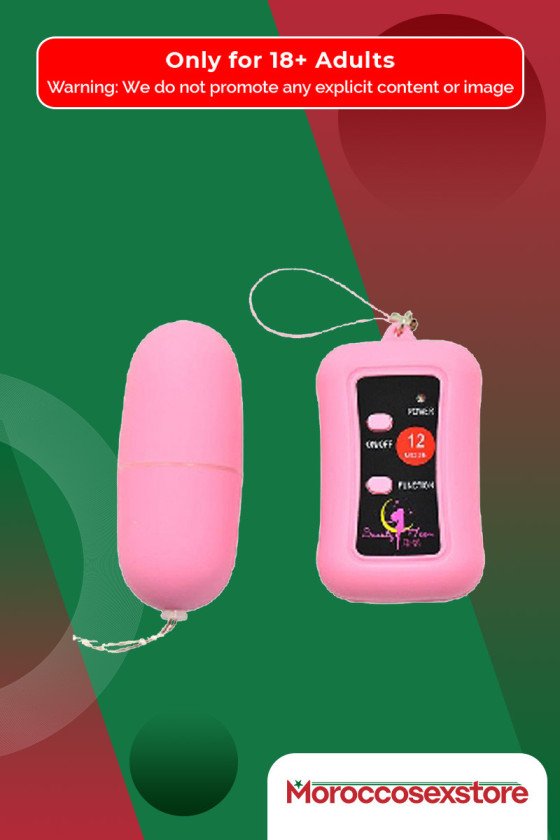 Remote Control Vibrating Egg BV-003