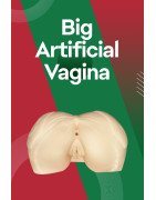 Buy Big Artificial Vagina in Morocco for Best Sessions